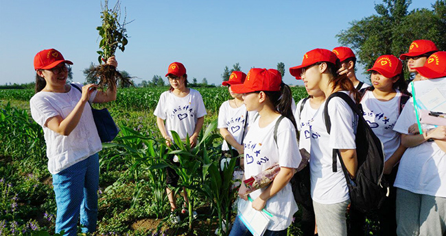 河北医科大“医大学子乡村行“团到灵寿县解决药材种植问题