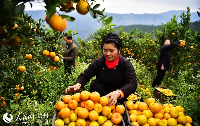 人民网_网上的人民日报