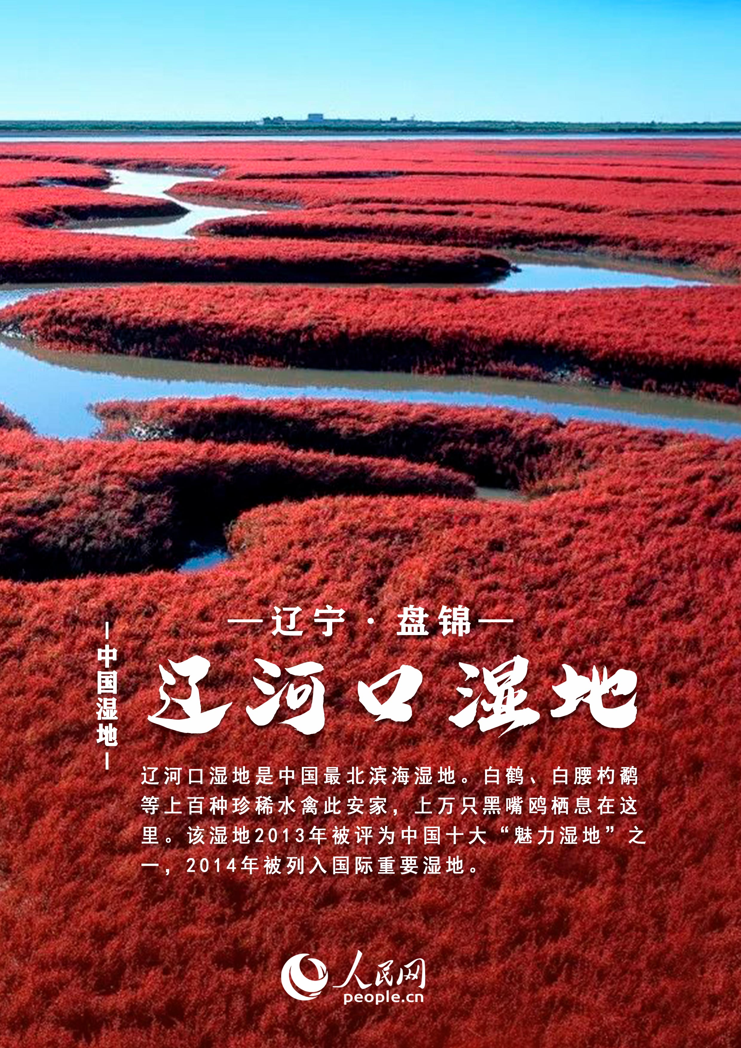 中国湿地大赏丨邀你共赏绝美风光 每张都值得收藏！