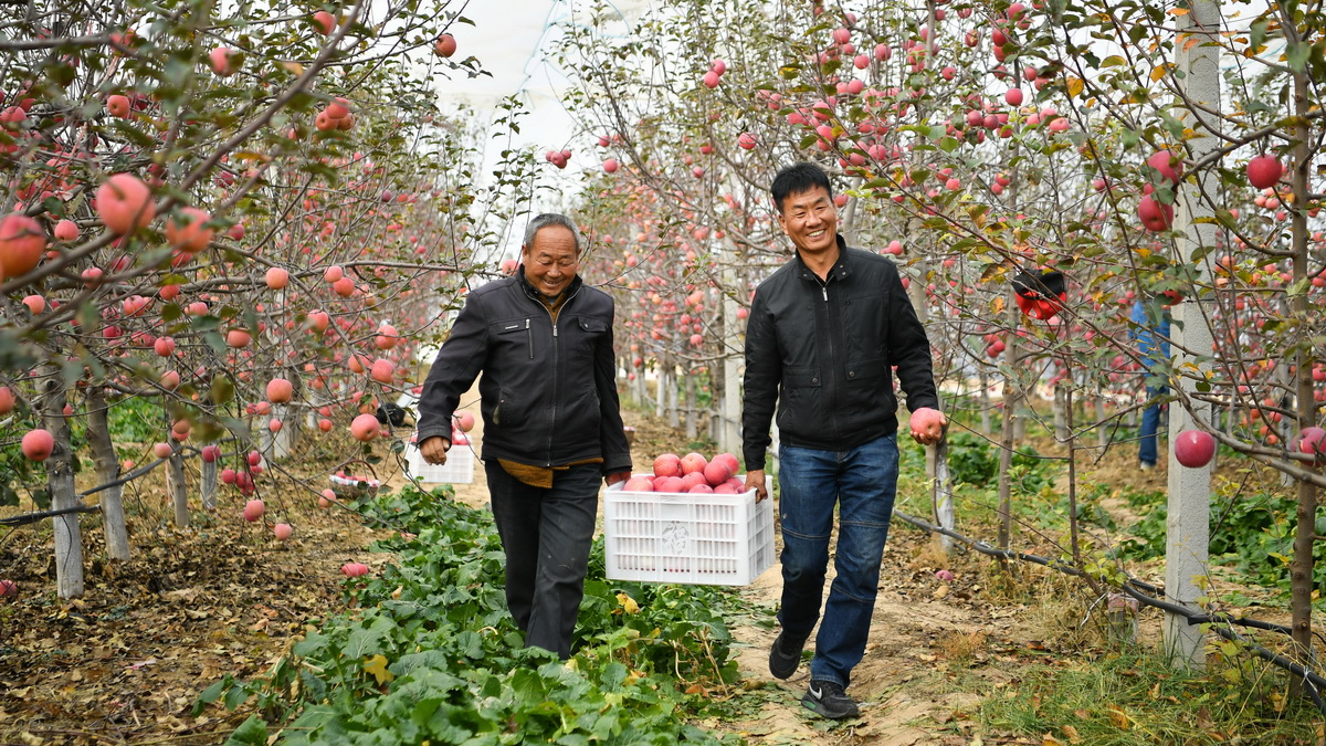 凝聚起建设中国式现代化的磅礴力量——从党的二十大到2023年全国两会