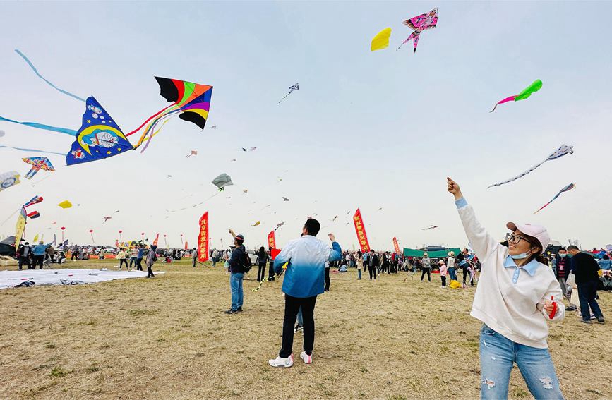 万千彩鸢乘风起，第40届潍坊国际风筝会开