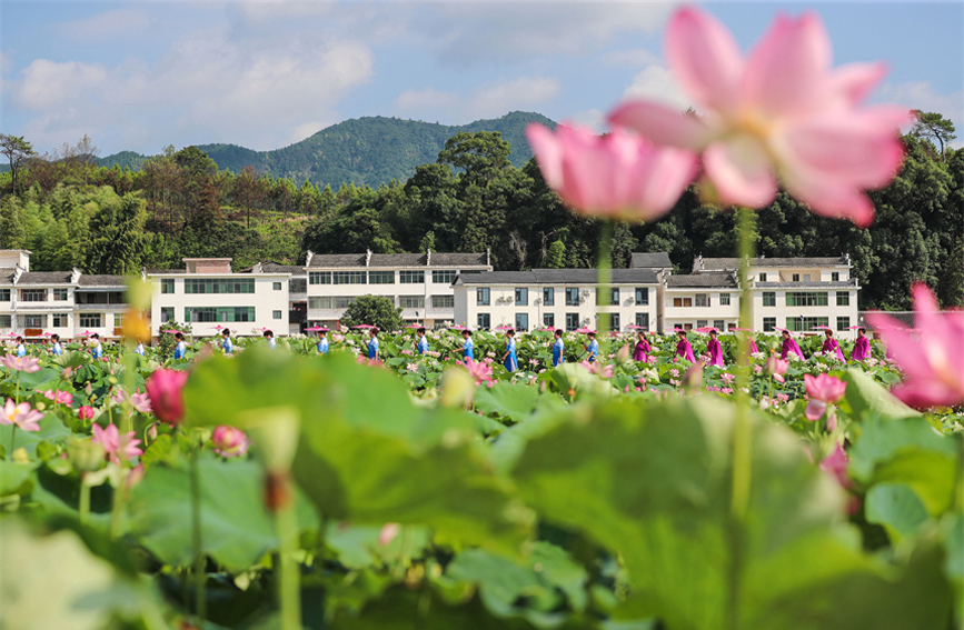 江西广昌：莲池美景引客来