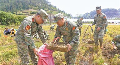  Pan'an, Zhejiang: Militia helps farmers collect Chinese medicinal materials
