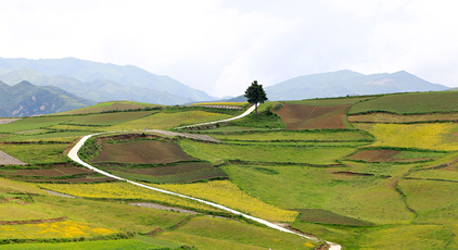  Longnan, Gansu: beautiful countryside in summer