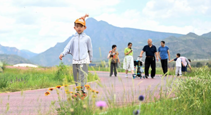 呼和浩特：夏日草原引游人