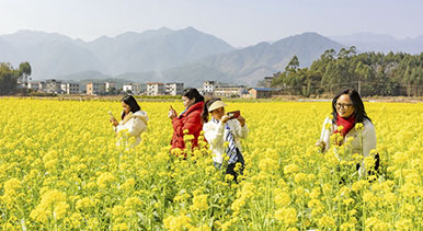 广西蒙山：春暖花开乡村美