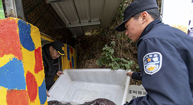 浙江金华：救助野生动物