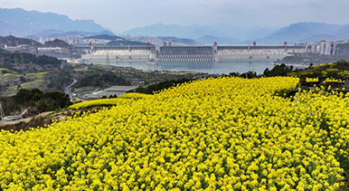 湖北宜昌：三峡坝区春光美