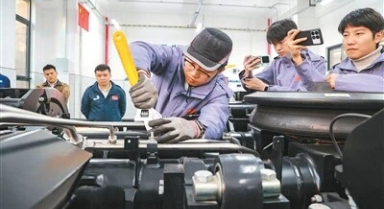 世赛新增项目,为啥是这7个?