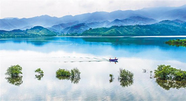 湿地画卷