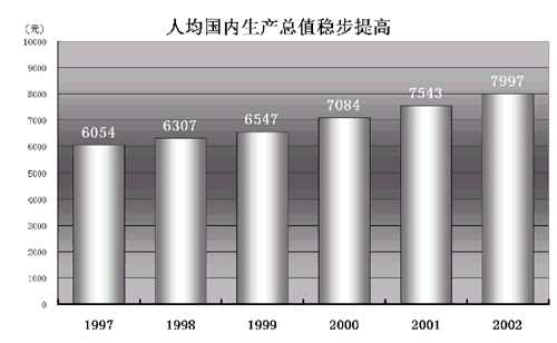 人均经济总量指标_经济技术指标(3)