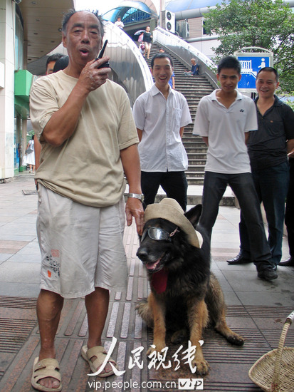 贵阳:拿工资当保安的西德犬