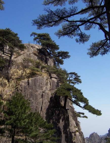 抓拍最美的黄山 冬季摄影十大景点-行摄资讯-36行南阳