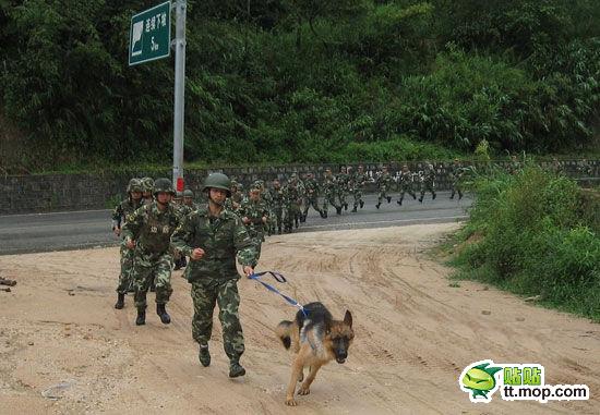 媒体热炒解放军进驻中缅边境 中方未予否认【6】