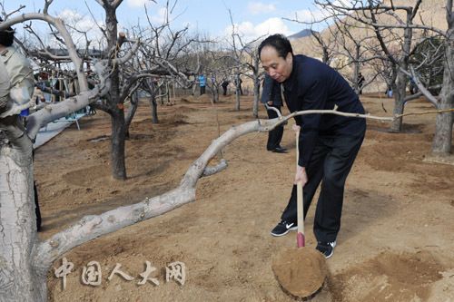 全国人大常委会部分组成人员参加义务植树