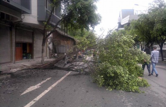 雅安雨城区人口_暴雨致G318断道 雨城区养路段抢险人员及时赶赴现场处治 北纬(2)