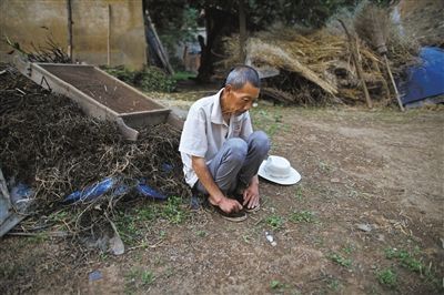 媒体调查淮河癌症村:村民曾跪在县长车队前求打井