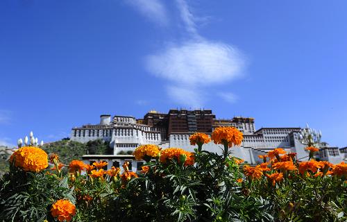 8月5日,拉萨布达拉宫广场布置鲜花,准备迎接"雪顿节.