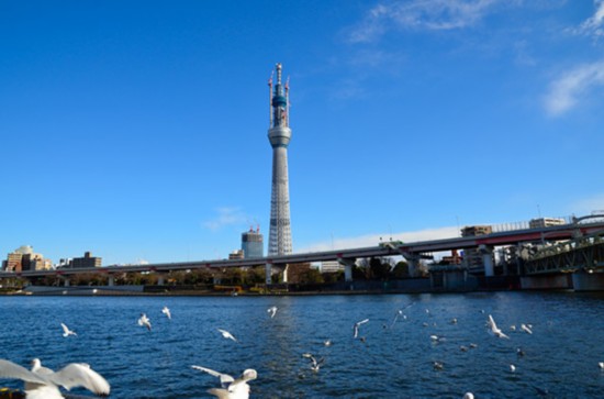 东京塔天空树通天阁!盘点日本十大名塔【2】