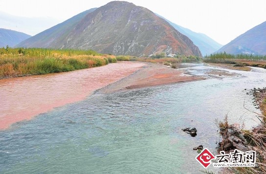 大白河和小清河交汇处,江水颜色恢复正常 记者 苏颖 摄