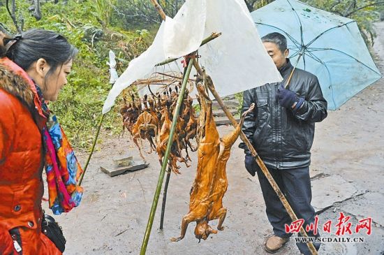 山鸡、斑鸠、花面狸 沐川县213国道边叫卖野生