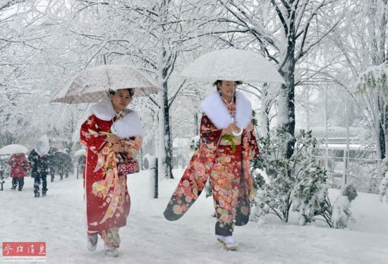 【策划】日本各地新成人狂欢 白雪和服美人相