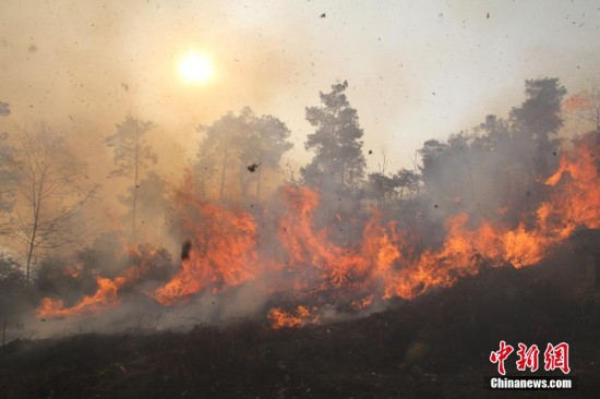 马场坪人口_贵州福泉爆炸8死300余人伤 70吨炸药惹祸 图(2)