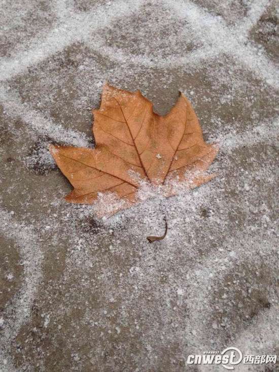 西安今晨迎2014年第一场雪 网友表白 一起看雪