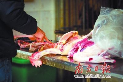H7N9风波重创清远鸡市场 批发价跌幅近半