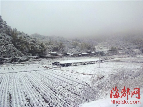 浦城空旷的原野上白雪皑皑