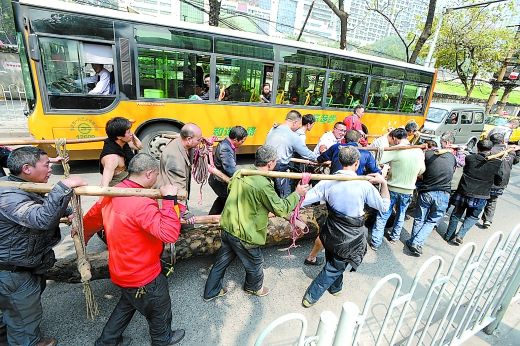 运6000斤千年乌木需20名男子 过街引市民围观