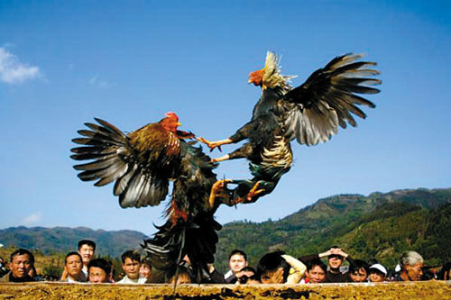 清明节:一个富有特色的节日