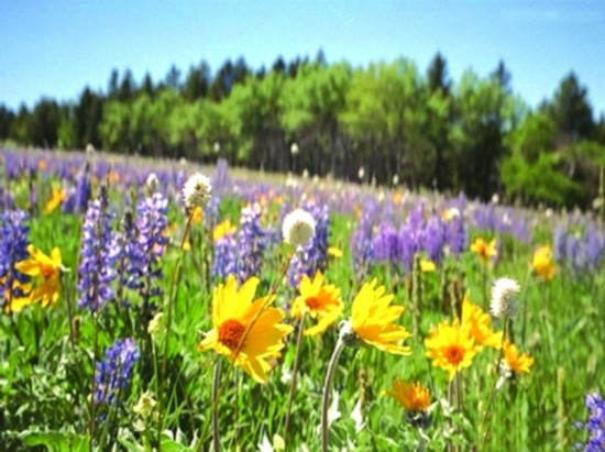 2014北京登山赏花自驾出游宝典