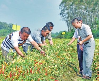 陆川县人口_陆川的各个乡镇人口排名,我们的老家排第几(2)