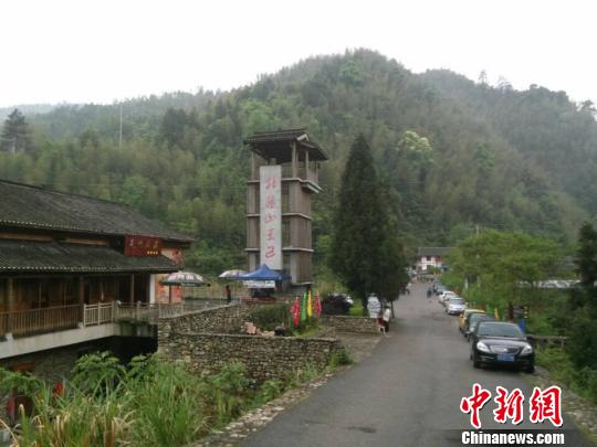 江西省井冈山杜鹃山景区索道12日上午10时左右发生轿箱坠落事件。　王姣　摄　　