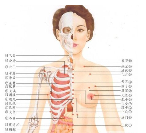 女性要常按身体的八部位