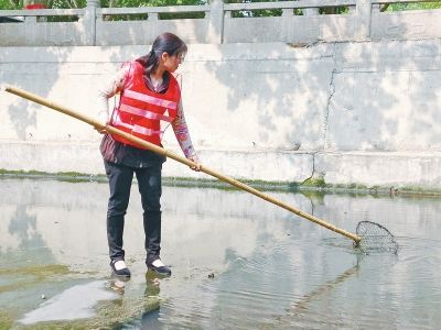 42岁女河道工考上全日制研究生 曾2次考研失败