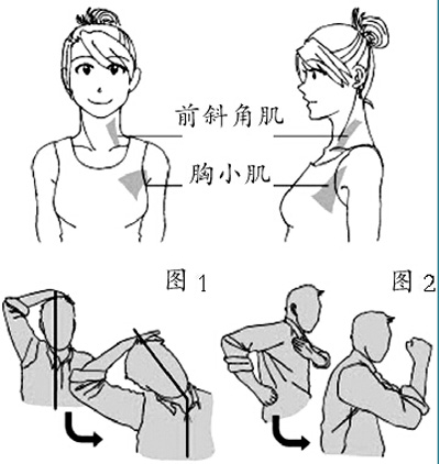 日本专家为低头族支招 看手机10分钟做一次