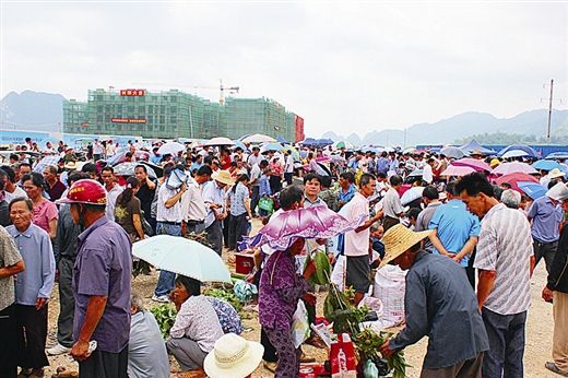 广西靖西:跳蚤药市产业化崛起(多图 药材资讯 中国药材市场