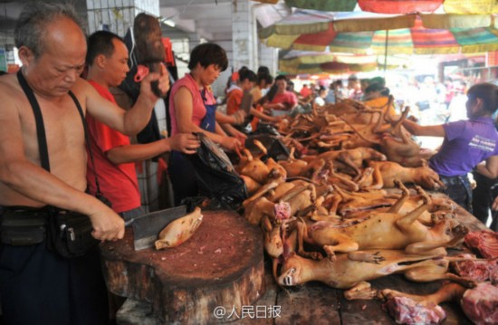 广西玉林狗肉节被指一天吃万只狗 舆论呼吁抵