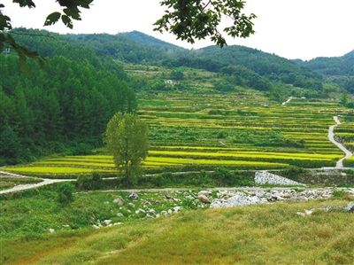 新村运动打造韩国新农村