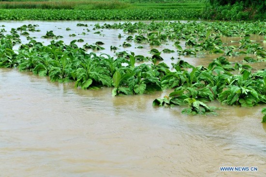 #CHINA-YUQING-FLOOD (CN)