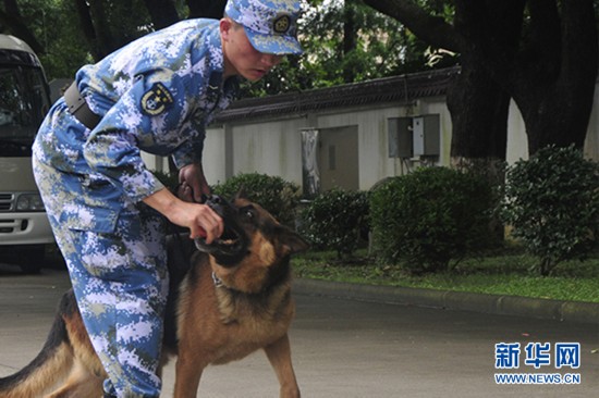 特列吾拜克正在训练军犬阿虎.王婷 摄