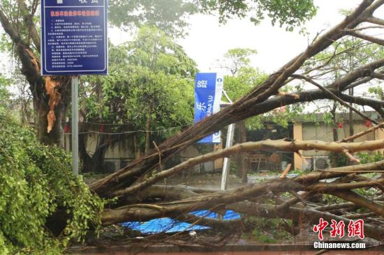 超强台风三次登陆中国致17死 近500万人受灾