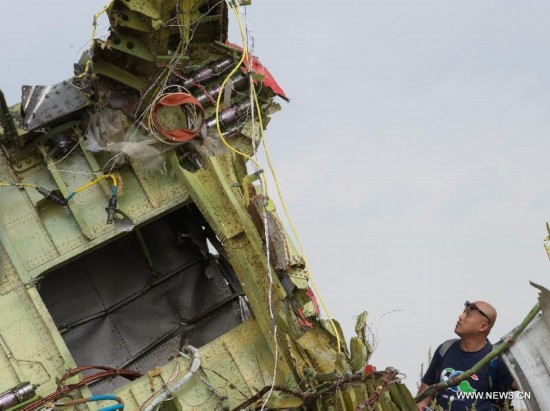 An expert from Malaysian investgation team inspects the crash site of flight MH17 of Malaysia Airlines in Ukraine's Donetsk region, on July 22, 2014. 