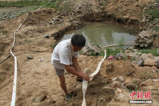 人口拐卖最严重的省_福建居民收买被拐受害儿童 或将面临严厉刑罚(3)