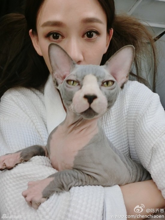 陈乔恩与无毛猫神表情同步 揭圈内爱猫如命的