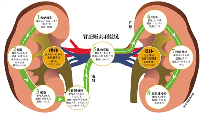 人口贩_人口普查图片(2)