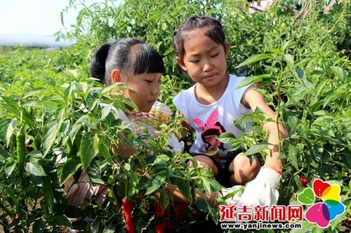 延吉部分留守儿童体验真实版开心农场