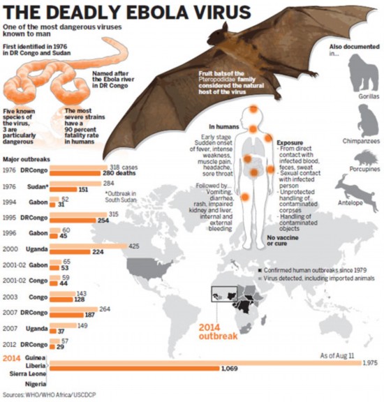 We're ready if Ebola arrives, say health officials